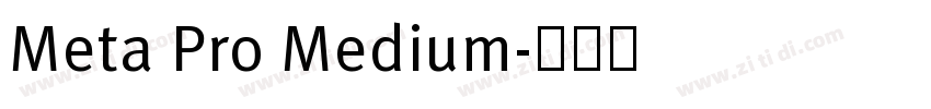 Meta Pro Medium字体转换